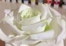 Ako vyrobiť studené porcelánové kvety vlastnými rukami