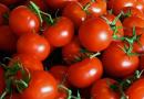 Zupa pomidorowa: klasyczny przepis ze zdjęciem