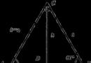 Wysokość trójkąta.  Przewodnik wizualny (2020).  Znajdź największą wysokość trójkąta Jak znaleźć wysokość, nie znając pola