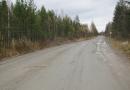 Karelija, šume u blizini finske granice