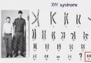 Chromosom Y – motor ewolucji