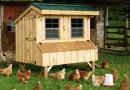 Uzgoj stoke: kako vlastitim rukama izgraditi kokošinjac za deset kokoši